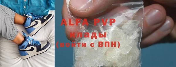 стаф Нея