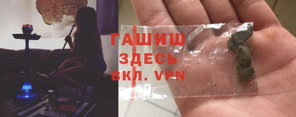 гашик Новозыбков