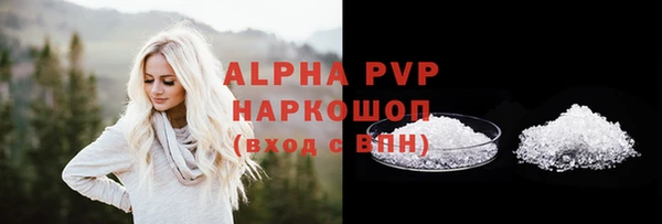 гашик Новозыбков