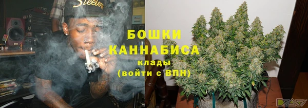 ГАЛЛЮЦИНОГЕННЫЕ ГРИБЫ Няндома