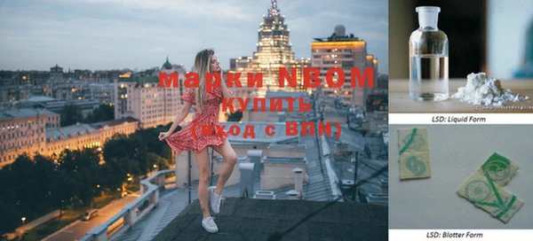 стаф Нея