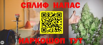 стаф Бийск