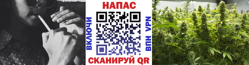 MEGA зеркало  площадка формула  Бошки марихуана LSD WEED  как найти закладки  Рассказово 